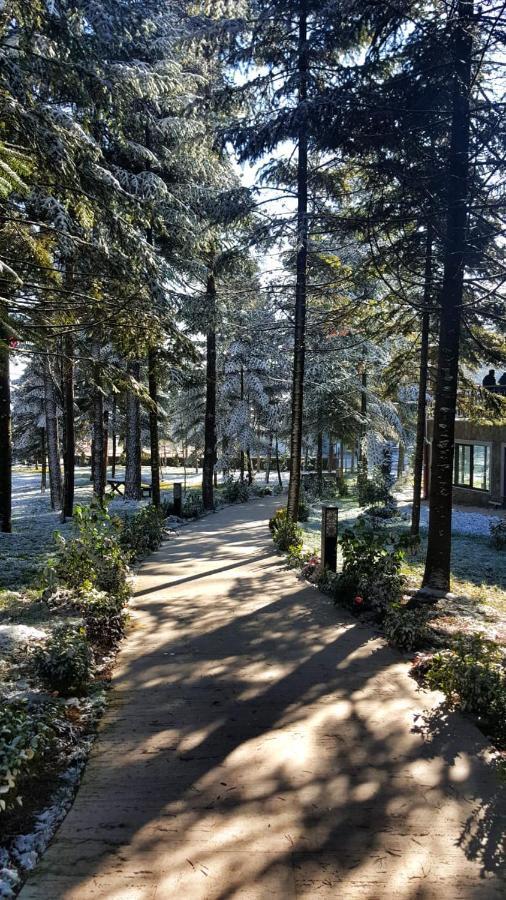 Bolu Koru Hotels Spa & Convention Yolcati  Exterior photo